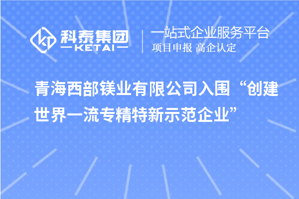 青海西部镁业有限公司入围“创建世界一流专精特新示范企业”