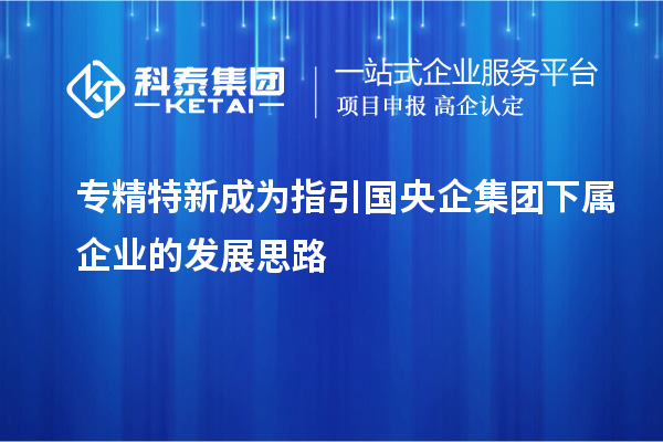 专精特新成为指引国央企集团下属企业的发展思路