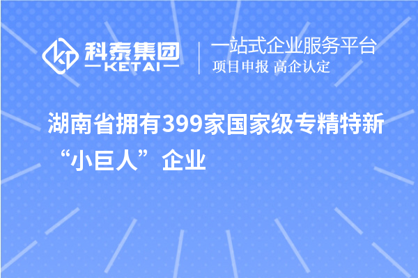 湖南省拥有399家国家级专精特新“小巨人”企业