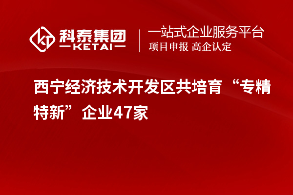 西宁经济技术开发区共培育“专精特新”企业47家