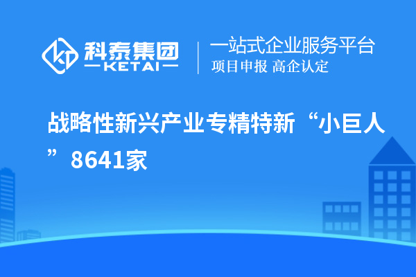 战略性新兴产业专精特新“小巨人”8641家