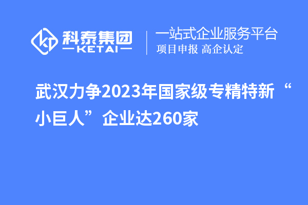 武汉力争2023年国家级专精特新“小巨人”企业达260家