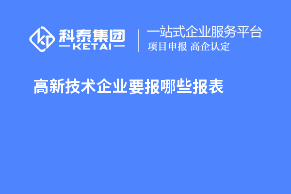 高新技术企业要报哪些报表