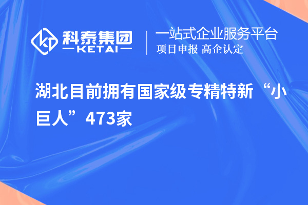 湖北目前拥有国家级专精特新“小巨人”473家