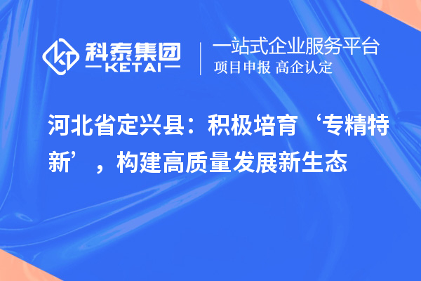 河北省定兴县：积极培育‘专精特新’，构建高质量发展新生态