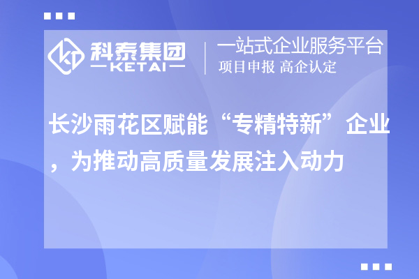 长沙雨花区赋能“专精特新”企业，为推动高质量发展注入动力