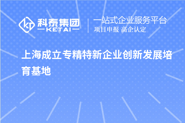 上海成立专精特新企业创新发展培育基地