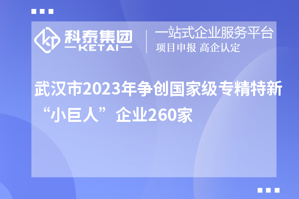 武汉市2023年争创国家级专精特新“小巨人”企业260家