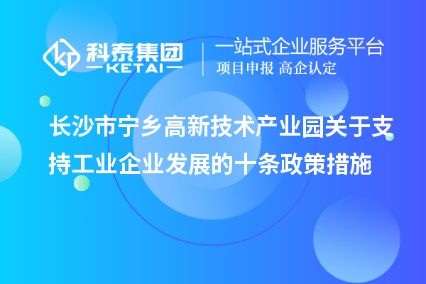 长沙市宁乡高新技术产业园关于支持工业企业发展的十条政策措施