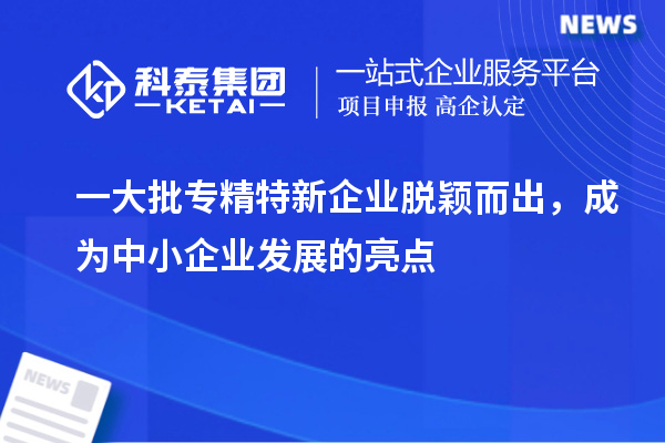 一大批专精特新企业脱颖而出，成为中小企业发展的亮点