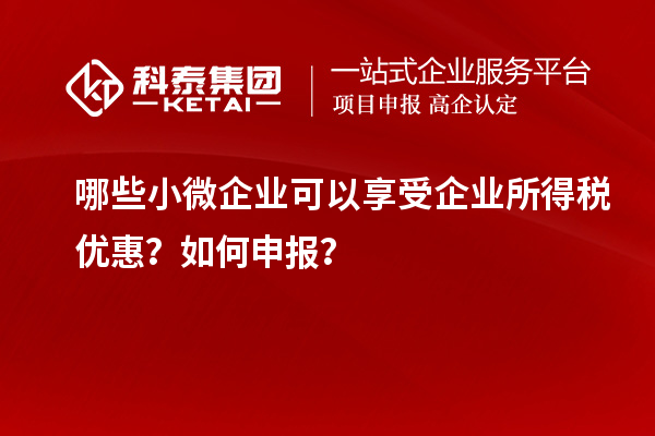 哪些小微企业可以享受企业所得税优惠？如何申报？