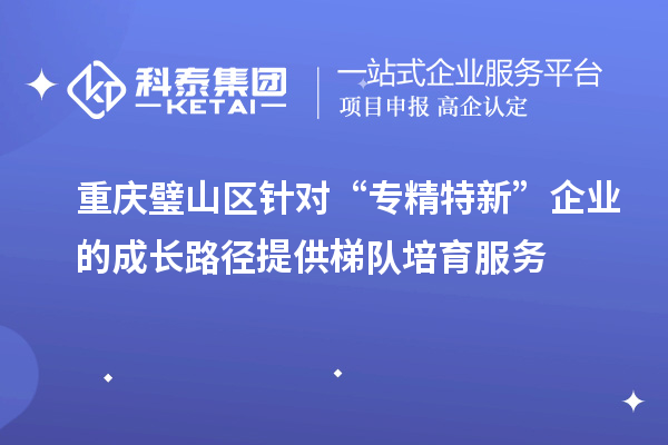 重庆璧山区针对“专精特新”企业的成长路径提供梯队培育服务