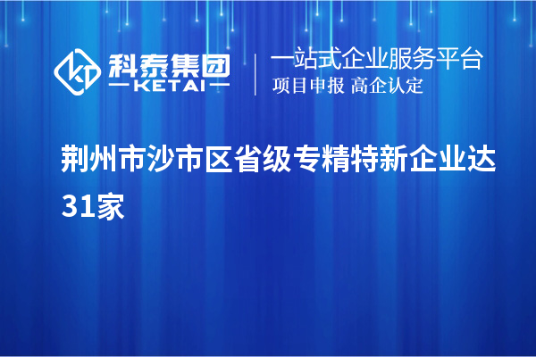 荆州市沙市区省级专精特新企业达31家