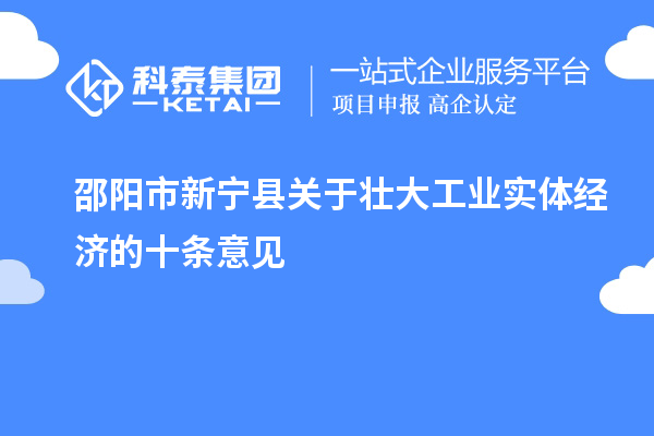 邵阳市新宁县关于壮大工业实体经济的十条意见