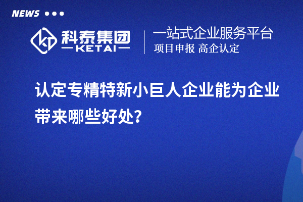 认定专精特新小巨人企业能为企业带来哪些好处？