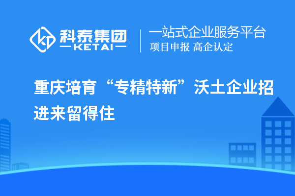 重庆培育“专精特新”沃土 企业招进来留得住