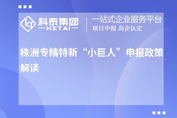 株洲专精特新“小巨人”申报政策解读