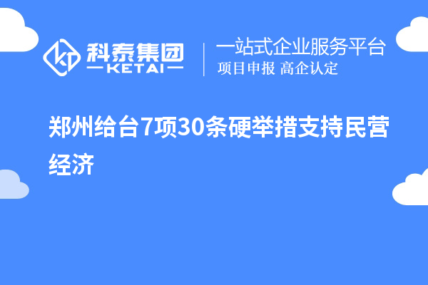 郑州给台7项30条硬举措支持民营经济