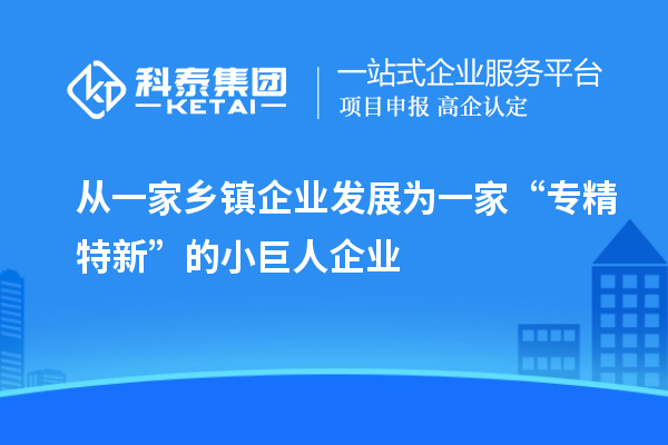 从一家乡镇企业发展为一家“专精特新”的小巨人企业