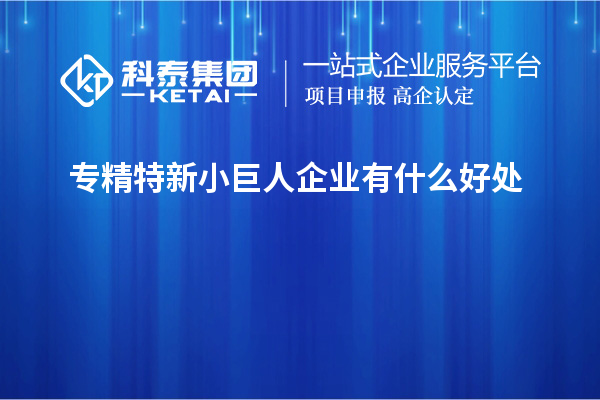 专精特新小巨人企业有什么好处