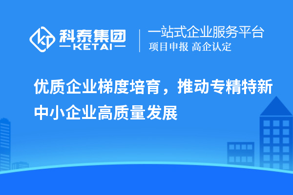 优质企业梯度培育，推动专精特新中小企业高质量发展