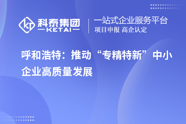 呼和浩特：推动“专精特新” 中小企业高质量发展