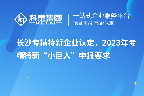 长沙专精特新企业认定，2023年专精特新“小巨人”申报要求