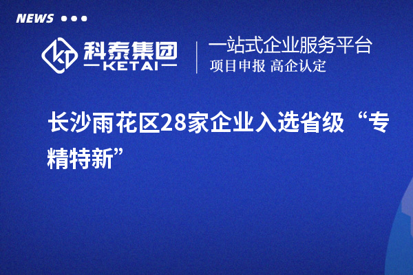 长沙雨花区28家企业入选省级“专精特新”