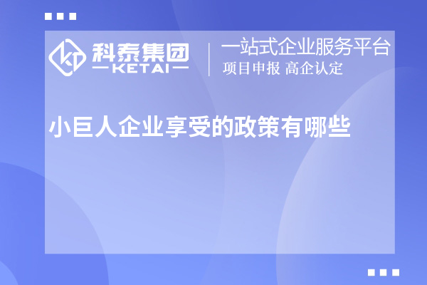 小巨人企业享受的政策有哪些