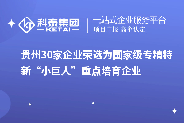 贵州30家企业荣选为国家级专精特新“小巨人”重点培育企业