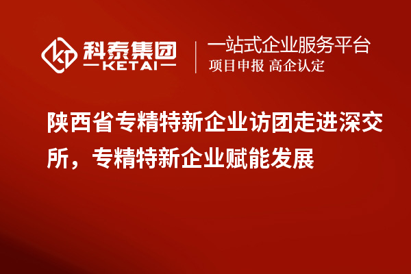 陕西省专精特新企业访团走进深交所，专精特新企业赋能发展