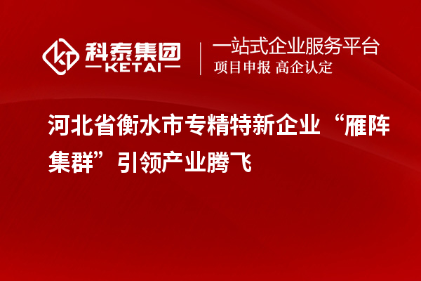 河北省衡水市专精特新企业“雁阵集群”引领产业腾飞