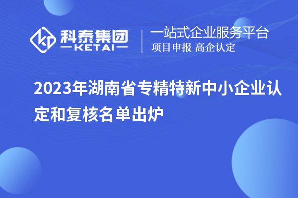 2023年湖南省专精特新中小企业认定和复核名单出炉