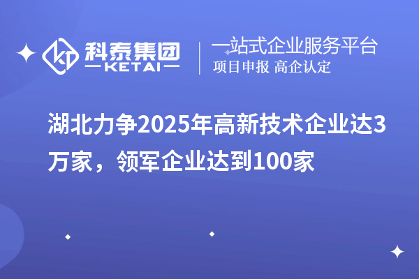 湖北力争2025年高新技术企业达3万家，领军企业达到100家