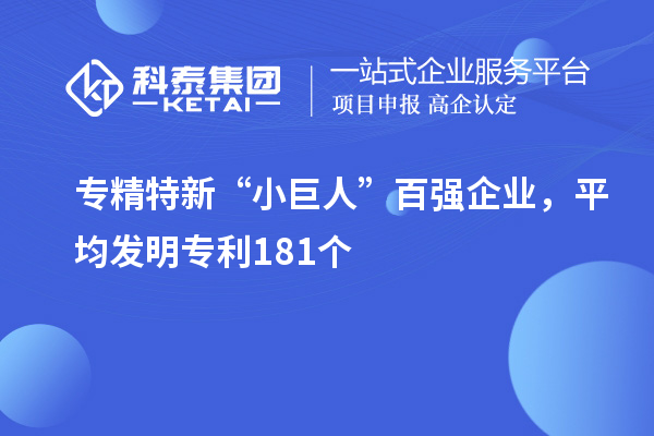 专精特新“小巨人”百强企业，平均发明专利181个