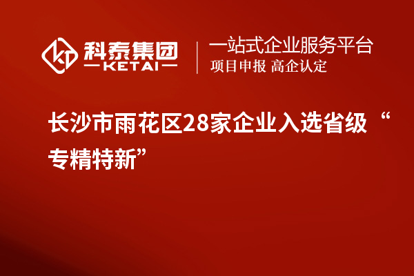 长沙市雨花区28家企业入选省级“专精特新”