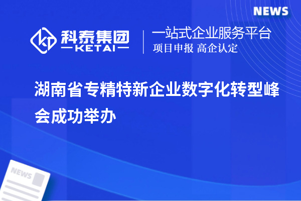 湖南省专精特新企业数字化转型峰会成功举办