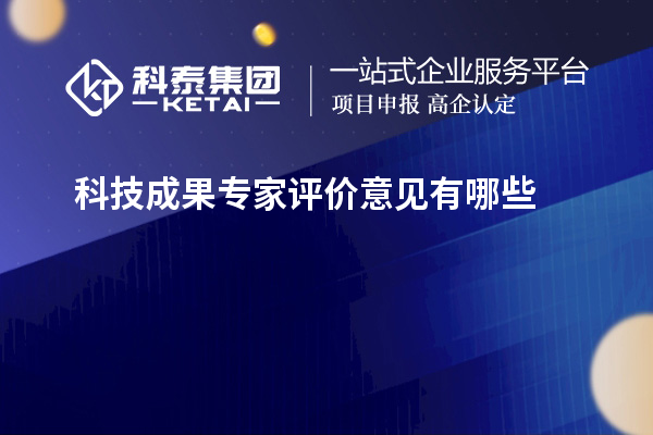 科技成果专家评价意见有哪些