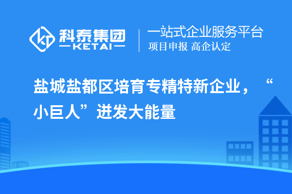 盐城盐都区培育专精特新企业，“小巨人”迸发大能量