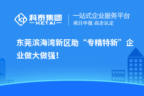 东莞滨海湾新区助“专精特新”企业做大做强！