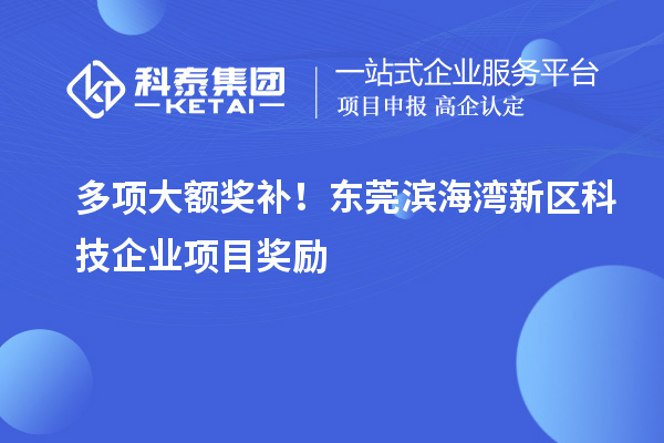 多项大额奖补！东莞滨海湾新区科技企业项目奖励