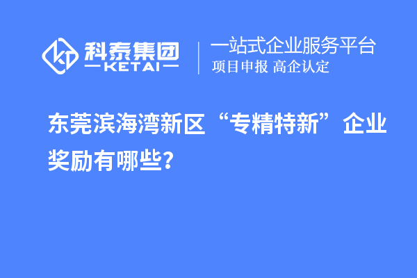 东莞滨海湾新区“专精特新”企业奖励有哪些？