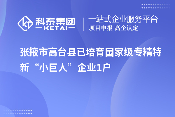 张掖市高台县已培育国家级专精特新“小巨人”企业1户