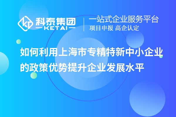 如何利用上海市专精特新中小企业的政策优势提升企业发展水平