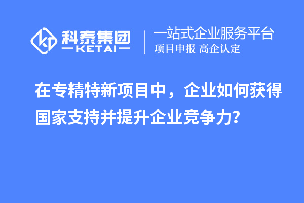 在专精特新项目中，企业如何获得国家支持并提升企业竞争力？