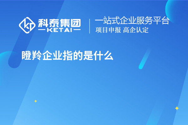 瞪羚企业指的是什么