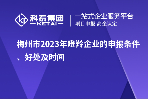 梅州市2023年瞪羚企业的申报条件、好处及时间