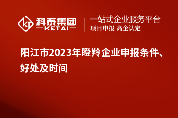 阳江市2023年瞪羚企业申报条件、好处及时间