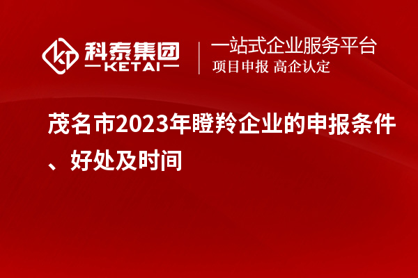 茂名市2023年瞪羚企业的申报条件、好处及时间