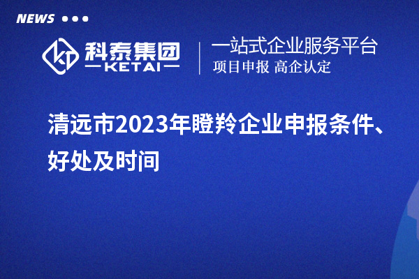 清远市2023年瞪羚企业申报条件、好处及时间